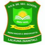 nkb school logo main